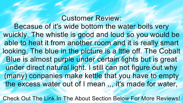 Brylanehome Whistling Tea Kettle Review