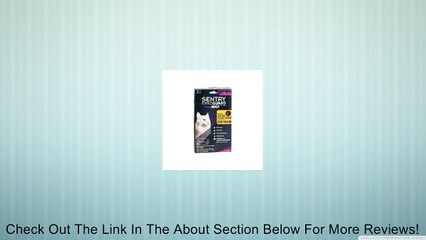 FiproGuard Maximum 6-Month Cats Over 12 Weeks, Purple Review