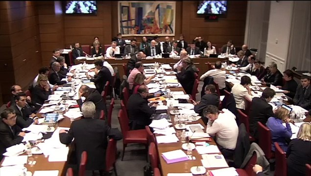 Commission spéciale Macron / professions réglementées