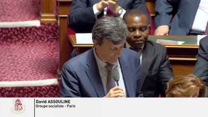 QAG de David Assouline du 15 janvier 2015