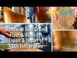 Shop Bulk Wholesale Feed Wheat, Buy Bulk Feed Wheat, Bulk Feed Wheat for Sale, Food Feed Wheat, Buy Bulk Feed Wheat, Feed Wheat Grade 1, Feed Wheat Grade 2, Feed Wheat Grade 3