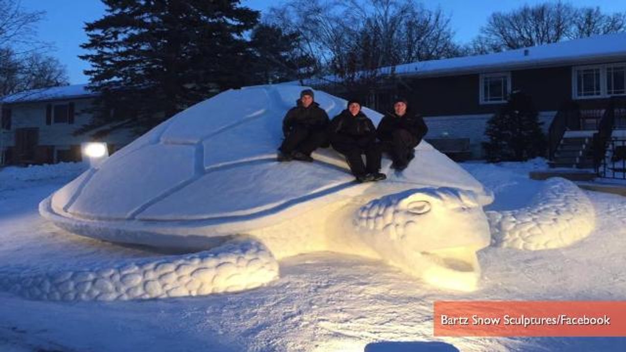 Brothers Build Giant Snow Turtle