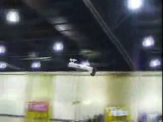Acrobatie avec un avion radio-télécommandé