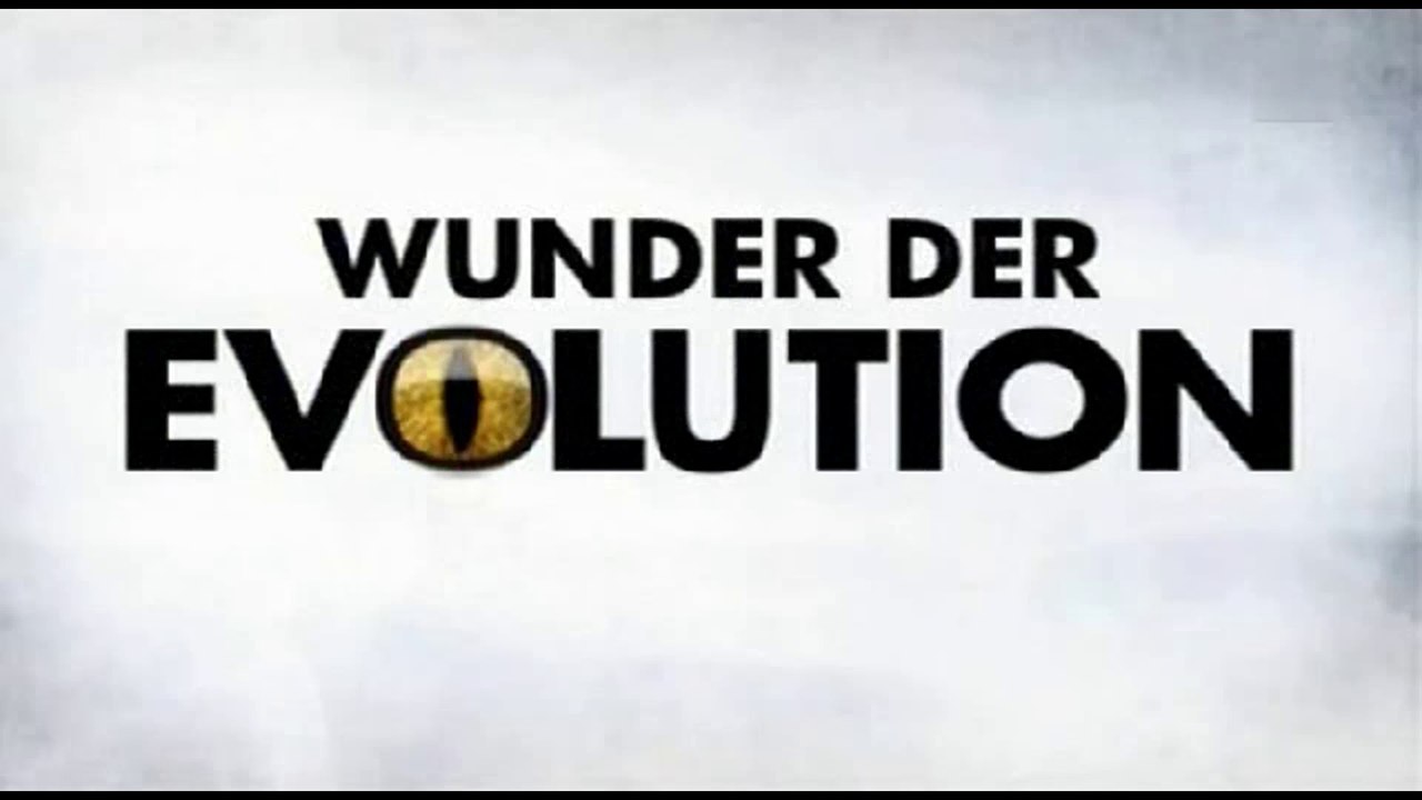 Wunder der Evolution - 2008 - Augen - by ARTBLOOD