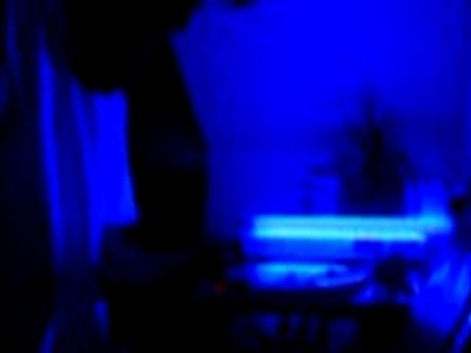 Dj bek1