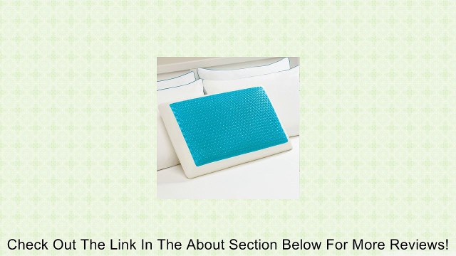 Hyrdraluxe Memory Foam Bed Pillow Color: Cool Cerulean Review