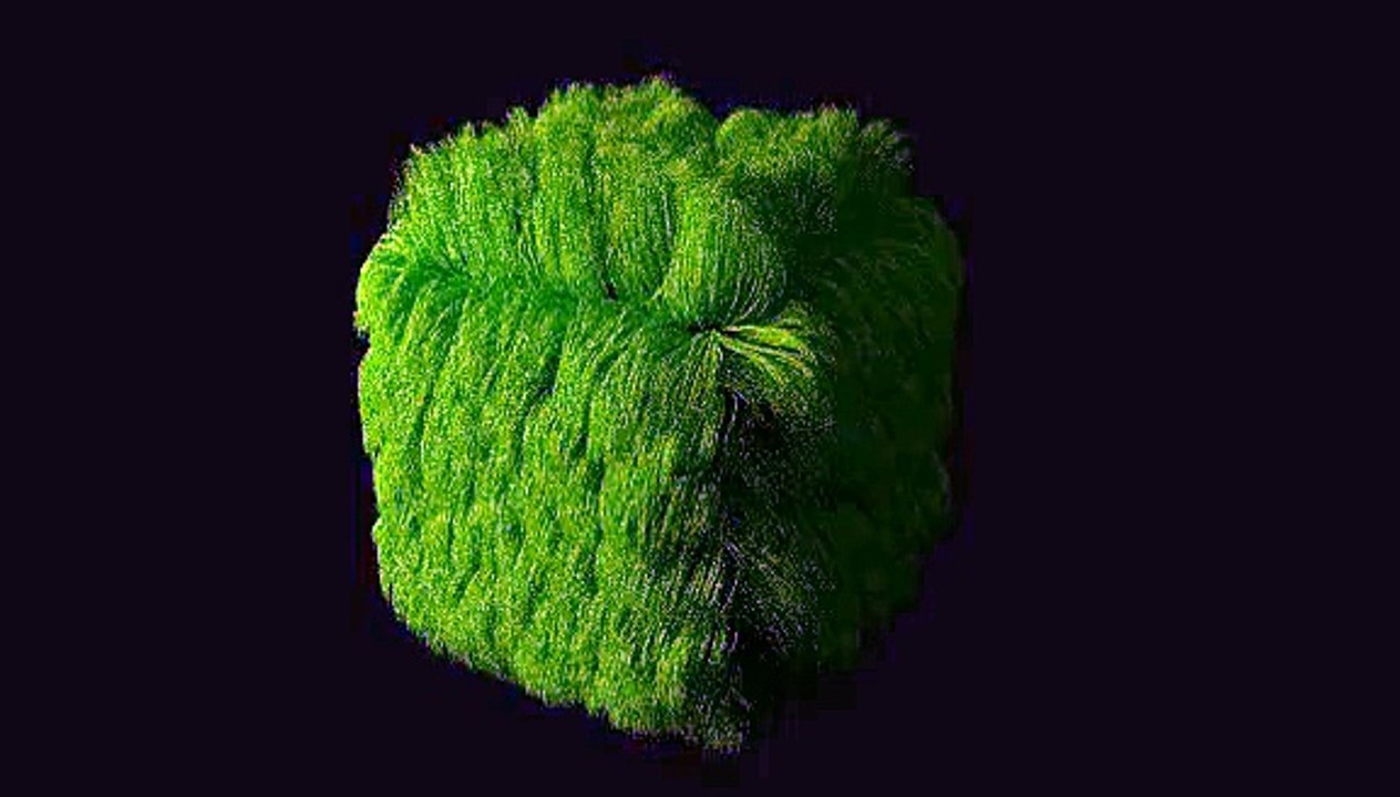 Grass Cube