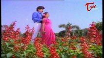 Peddinti Alludu Movie Songs || Abbalalooo || Suman || Nagma