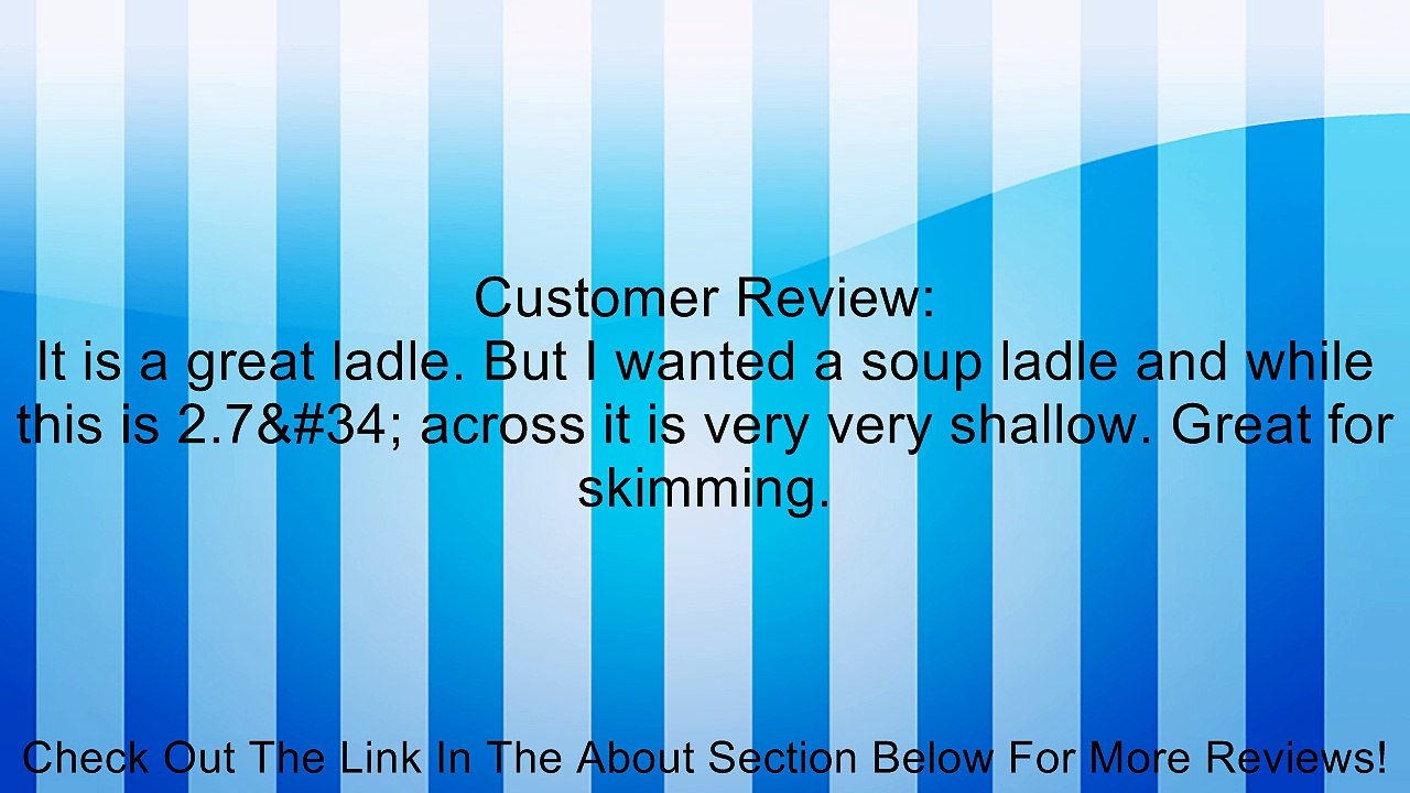 Stainless Steel Soup Ladle 2.7 Inch Dia Tip Black Review