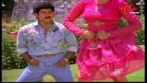 Peddinti Alludu Movie Songs || Kannukottu kannukottu || Suman || Nagma