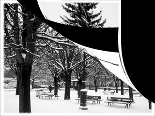 notre dame en neige (D.vs) daily