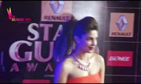 10th Renault Star Guild Awards 2014 | Deepika Padukone | Hrithik Roshan | Priyanka Chopra