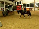 San Lorenzo-reiten am 15.01.2015