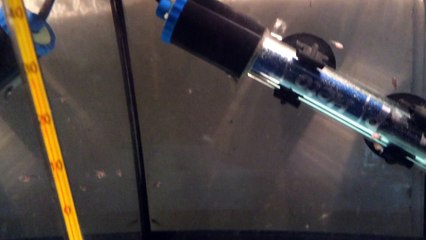 Porté de Plakat Dragon  1 Mois