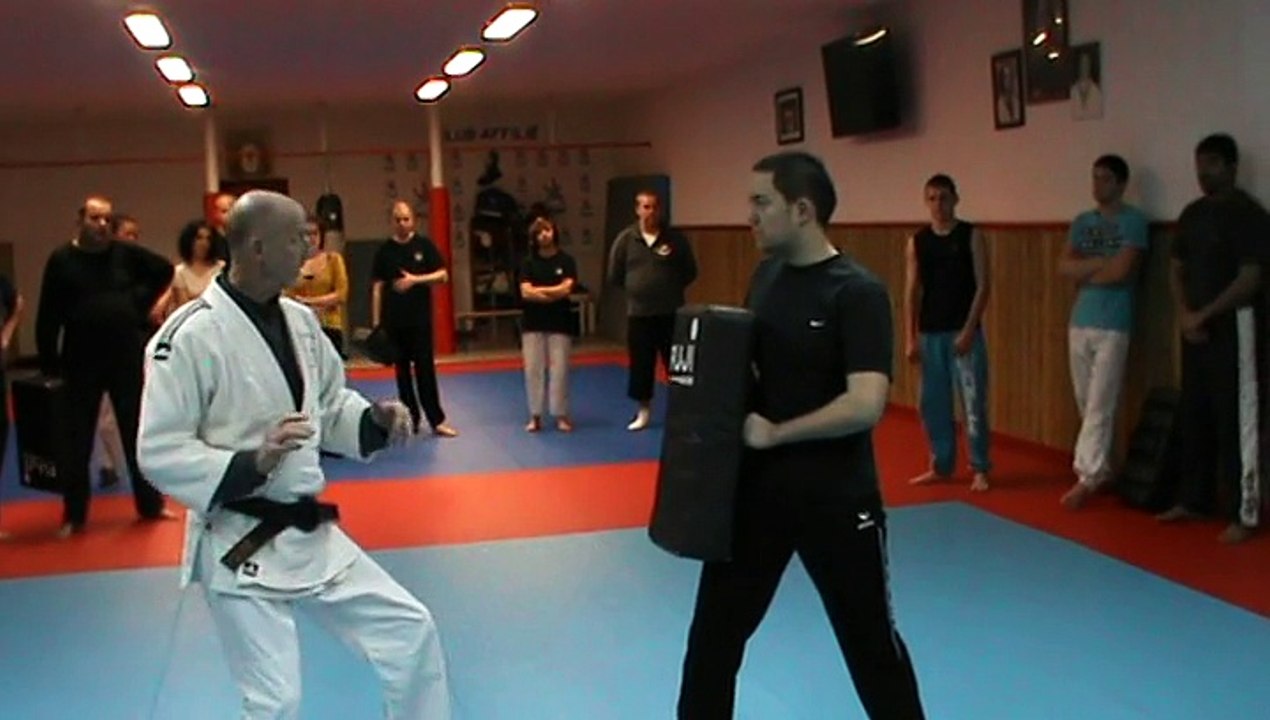 Jujitsu Rollin Philippe