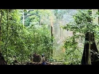 Greenpeace vs. Dove: The Battle Over Ethical Advertising 🌱