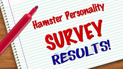 Hamster Personality Survey | RESULTS