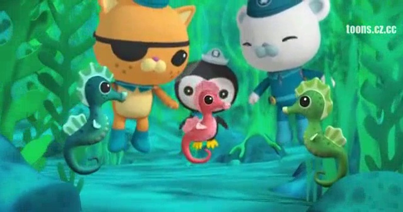 The Octonauts and The Seahorse Tale (Series 1 Episode 29)