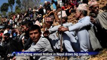 Bullfighting annual festival draws big crowds in Nepal