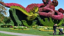 mosaiculture de montréal en photos