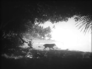 1932 - Mr. Robinson Crusoe -  Edward Sutherland