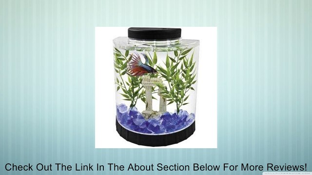 Tetra LED Half Moon, Betta Kit, 1.1-Gallon Review