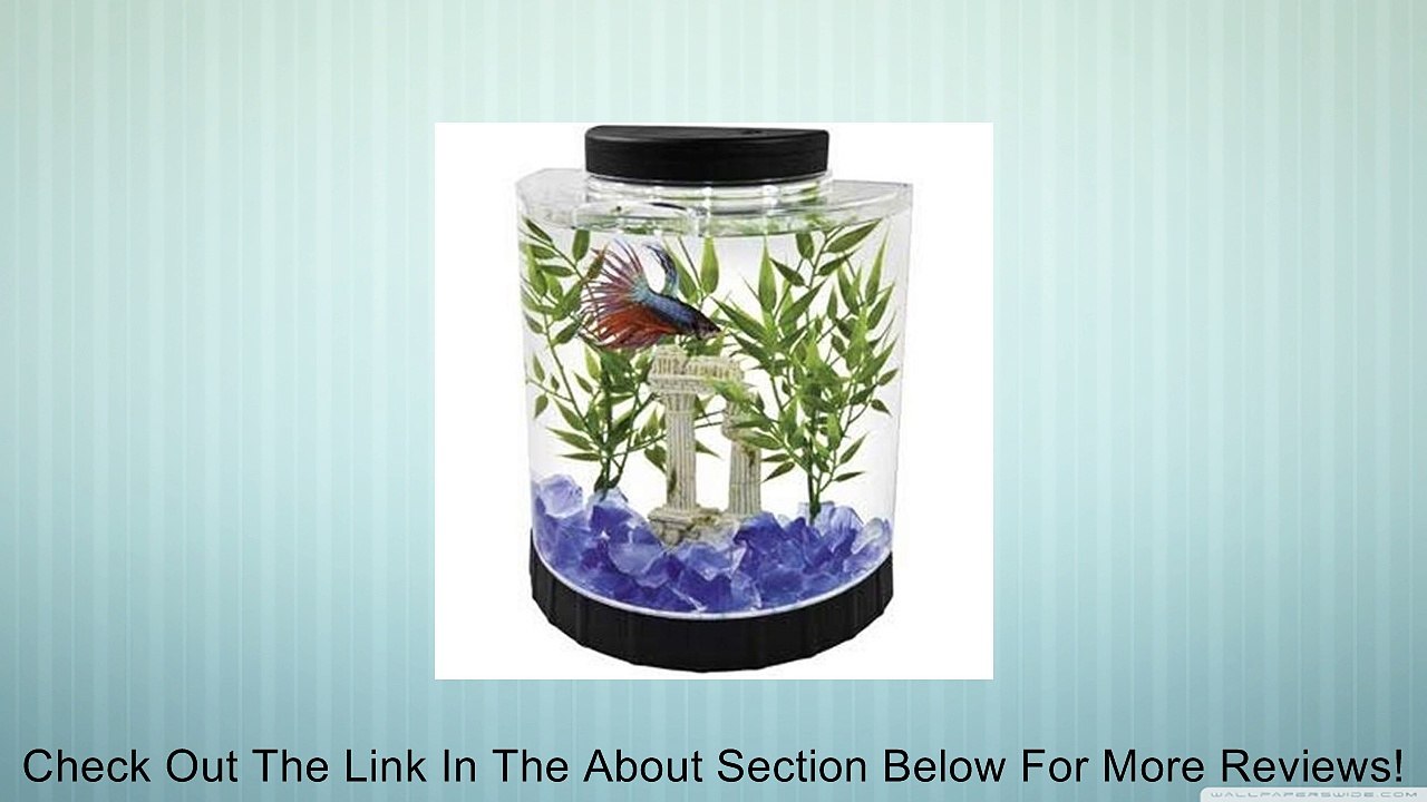 Tetra LED Half Moon, Betta Kit, 1.1-Gallon Review