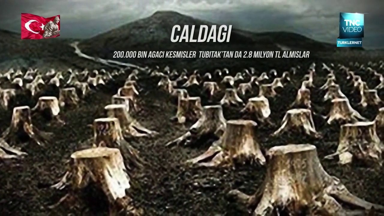 Turkiyede Doga ve Orman Katliami   HD