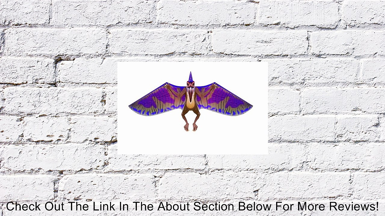 WindnSun DinoSoars Pterodactyl Nylon Kite-64 Inches Tall Review