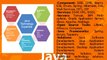 Java Application Development Services on Different Platforms