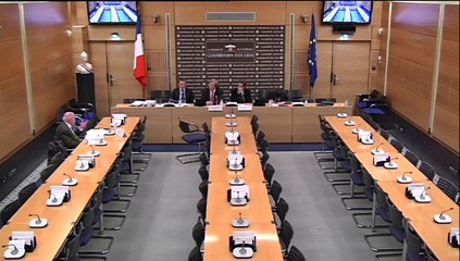 Audition de M. Bernard Bouloc, professeur émérite - Jeudi 8 Janvier 2015