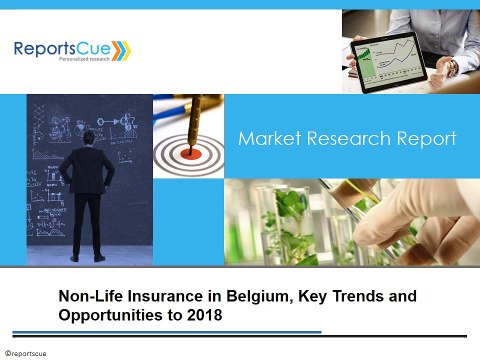 Non-Life Insurance in Belgium, Key Trends and Opportunities to 2018