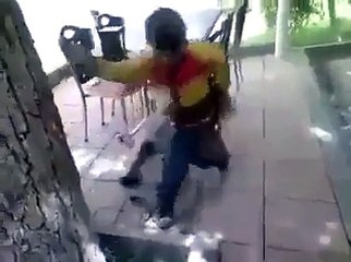 Dunya News - Grizzly Bear and Kids playing with each other