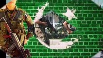 Operation Zarb-e-azb Pakistan Army Song