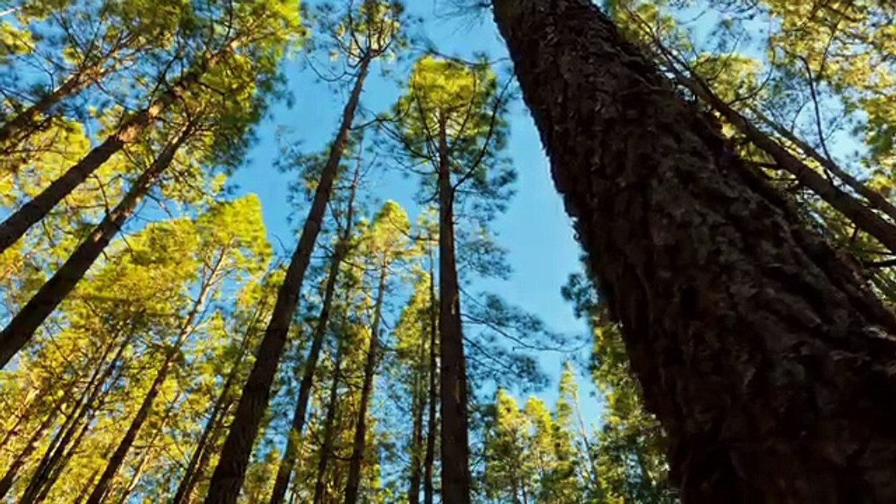 Best Mountain Views You Have Ever Seen