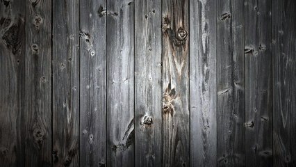 Kingdom Of Desirer Toto - Jake to the Bone ( instrumental )