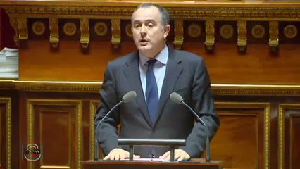 Intervention de Didier Guillaume. Débat du 13 janvier 2015 sur le terrorisme