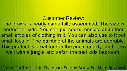 Home Essentials 60420 Kindergarden Safari 4-Drawer Cabin Review