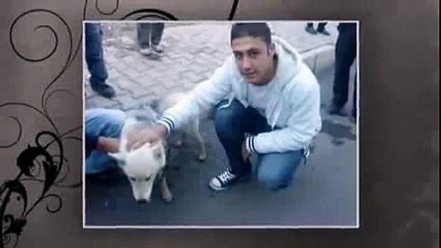 Gökhan Duman ft Asikan & Suzan - Gitme Kal ( 2012 )