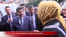 Kedileri valiye şikayet etti!