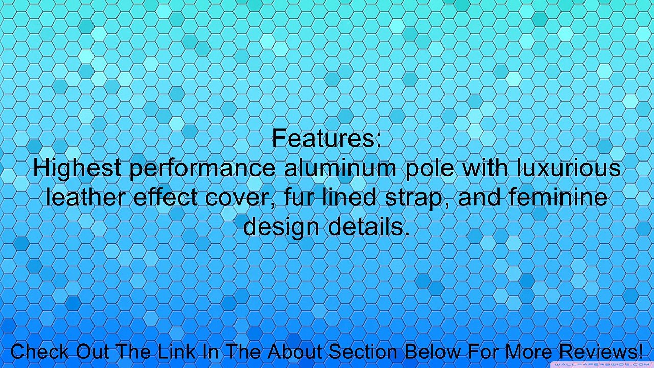 Salomon Arctic Skiing Pole Review