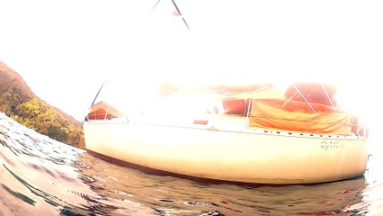 Tobago, Raie manta 1 "autour de rêve de"