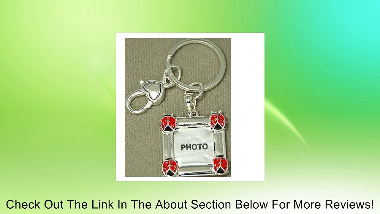 Keyring ~ Ladybug Theme ~ Photo Frame Review