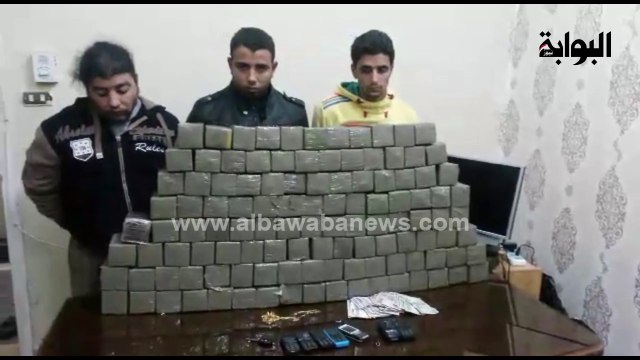 ضبط 1150 طربة حشيش بالإسكندرية