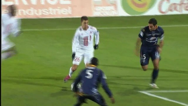 Arles-Avignon - LOSC 0-1 17ème journée (2010-2011)