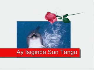 Suyun Bilinmeyen Gücü