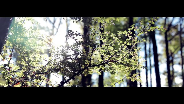 Möet Hennessy : Cloudy Bay