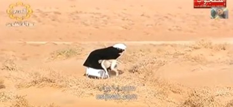 Arapların Tazı ve Şahinle Tavşan Avı