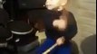 2-Year-Old kid plays the drums to 'The Pretender' by Foo Fighters