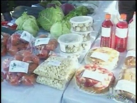 Aprenda a elaborar huertos orgánicos urbanos